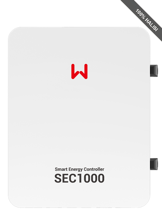 GoodWe Smart Energy Controller Hybrid & Grid